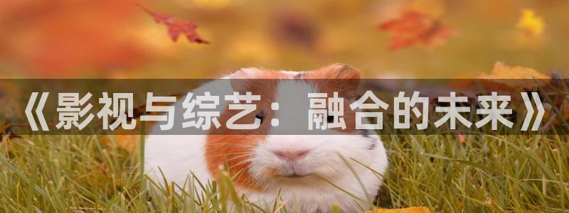 yy6080私人午夜性爽快影院