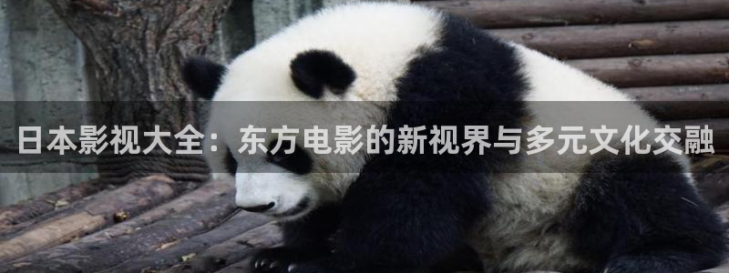 奇领yy6080蓝雨影院yy：日本影视大全：东方电影的新视界与多元文化交融